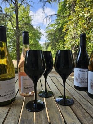 Verres à vin noirs